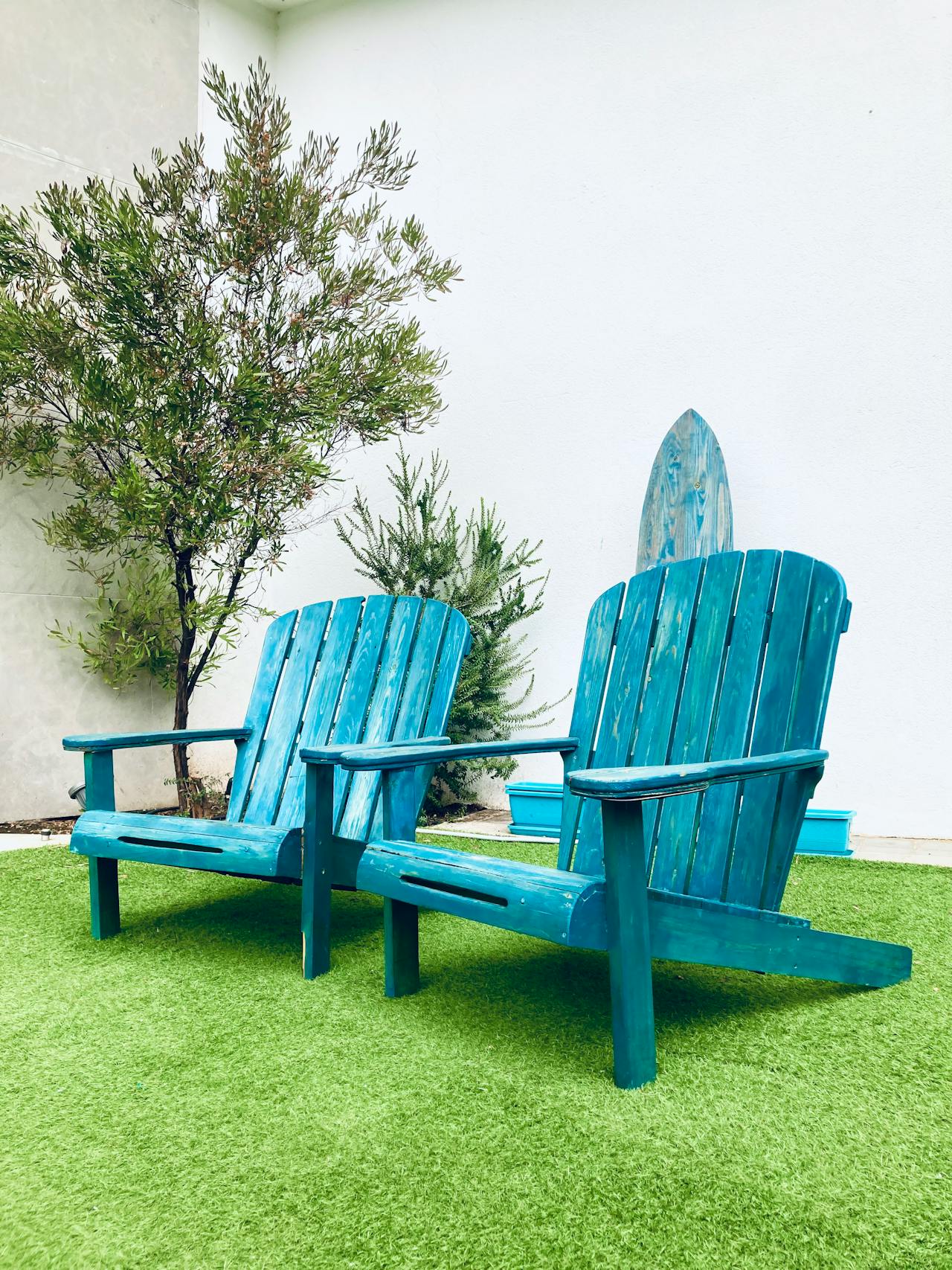 Front Page 5 Front Page -Jearey pexels sonniewing 34765538